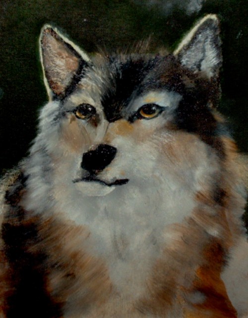 Wolf